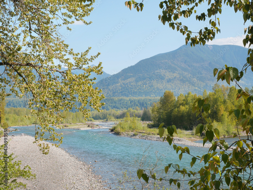 Fototapeta premium Chilliwack River as seen from the Vedder Rotary Trail North during a spring season in Chilliwack, Fraser Valley, British Columbia, Canada