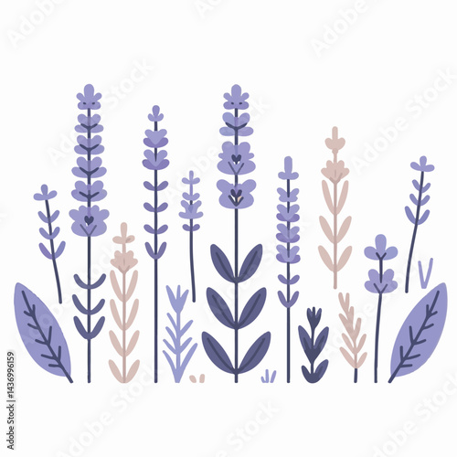 floral, nature, lavender, plant, design, flower, purple, background, blossom, isolated, bouquet, botanical, herbal, natural, herb, bloom, beauty, flora, art, vintage, violet, aroma, illustration, gard