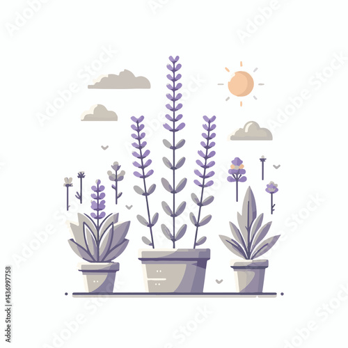 floral, nature, lavender, plant, design, flower, purple, background, blossom, isolated, bouquet, botanical, herbal, natural, herb, bloom, beauty, flora, art, vintage, violet, aroma, illustration, gard