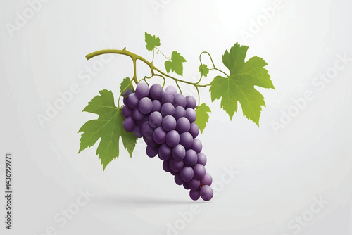 Fresh grape vine isolated white background