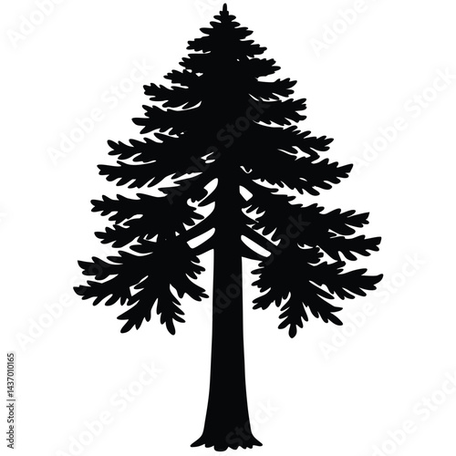 Majestic Trees and Forest Icons  sitka-spruce, ironwood, mesquite, sequoia, giant redwood, monkey puzzle, black walnut, kapok, coast redwood, douglas fir