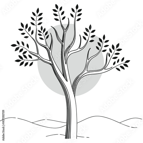 Majestic Trees and Forest Icons  sitka-spruce, ironwood, mesquite, sequoia, giant redwood, monkey puzzle, black walnut, kapok, coast redwood, douglas fir