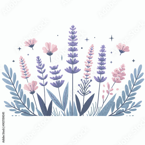 floral, nature, lavender, plant, design, flower, purple, background, blossom, isolated, bouquet, botanical, herbal, natural, herb, bloom, beauty, flora, art, vintage, violet, aroma, illustration, gard
