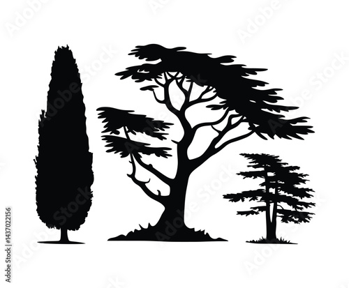 Cypress Tree Silhouette EPS Vector Template