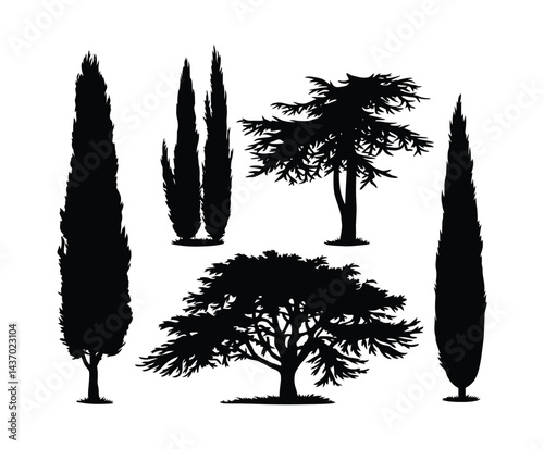 Cypress Tree Silhouette Vector Art on White Background