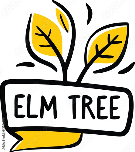 Popular Forest Trees and Nature Icons  birch, spruce, cedar, elm tree, beech tree, poplar, chestnut, sweetgum, aspen tree, sycamore