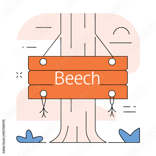 Popular Forest Trees and Nature Icons  birch, spruce, cedar, elm tree, beech tree, poplar, chestnut, sweetgum, aspen tree, sycamore