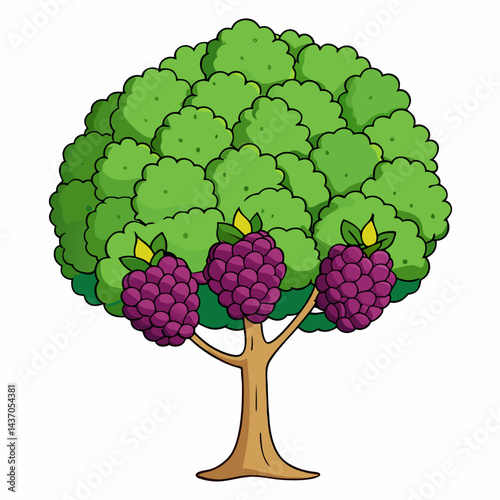 vector illustration of a blackberry