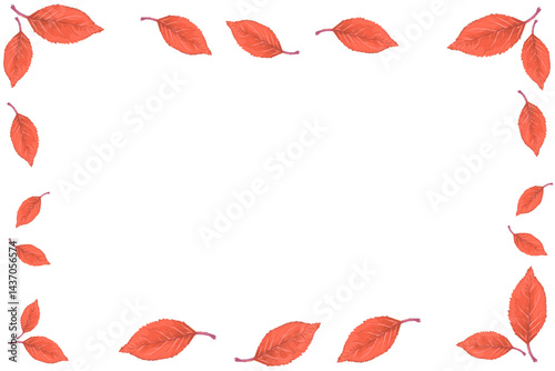 collection of dry leaf frames without background