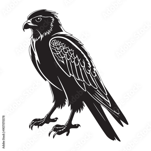Majestic Falcon Silhouette: A striking silhouette of a falcon stands with its sharp gaze and strong posture, embodying strength and freedom against an empty backdrop.