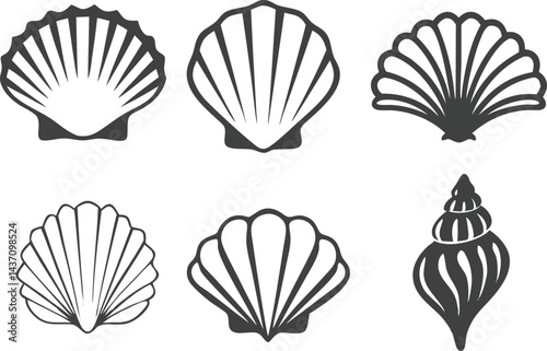 Shell Collection in Sketch Style