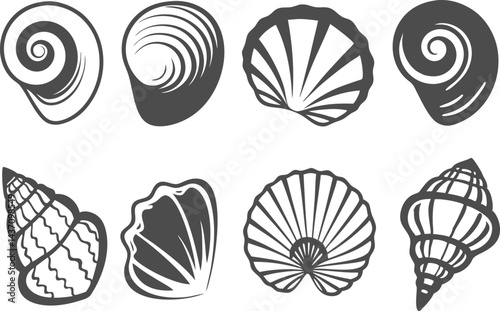 Assorted Shell Sketches