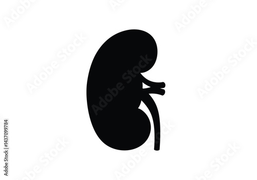 Renal silhouette. This image shows a black silhouette of a kidney, also known as renal organ or nephron, depicted in a clear and simple vector style. Vector clipart illustration design.