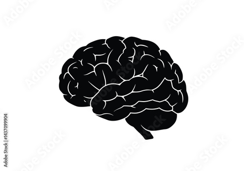 Brain silhouette. This image shows a black silhouette of a human brain with detailed contours and folds, also known as a brain outline or brain clipart. Vector clipart illustration design.