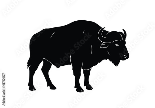 Buffalo silhouette. This image shows a black silhouette of a buffalo, also known as bison, with horns and a strong, powerful body. Vector clipart illustration design.