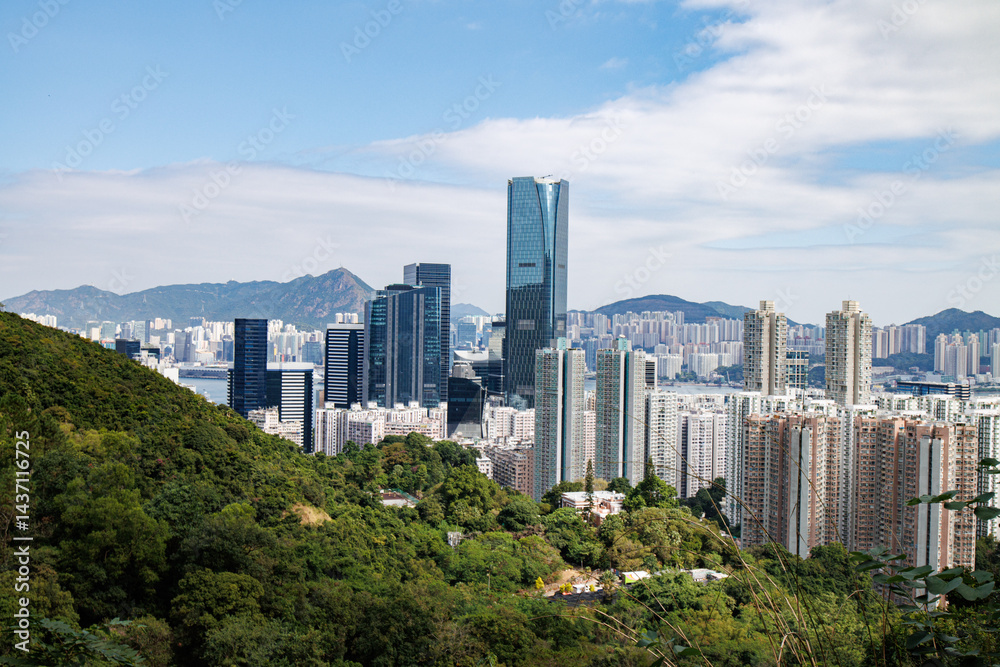 Expansive View of Hong Kong Cityscape from Mountain Top