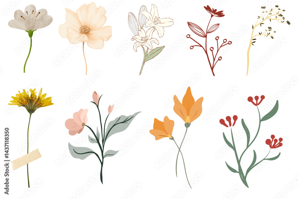vector illustration of flowers vector illustration of flowers