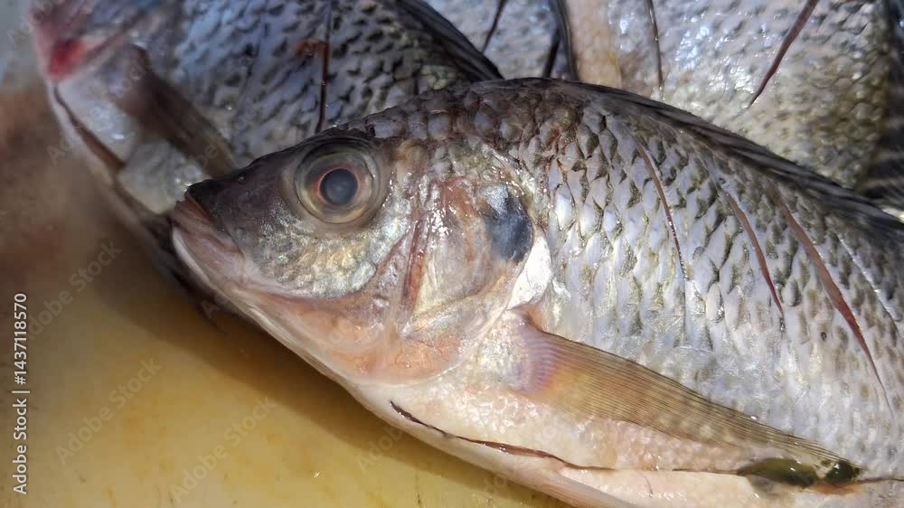 Ready-to-cook fresh marinated tilapia fish Ready-to-cook fresh marinated tilapia fish