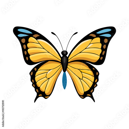 Beautiful Male Tiger Swallowtail Butterfly Isolated on White Background