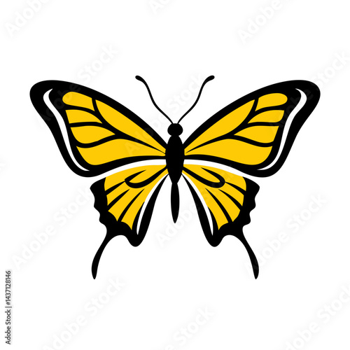 Beautiful Male Tiger Swallowtail Butterfly Isolated on White Background