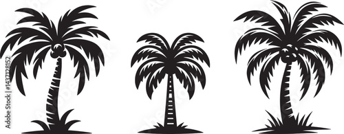 Tropical Palm Tree Silhouettes with Coconut Details for Beach Themes