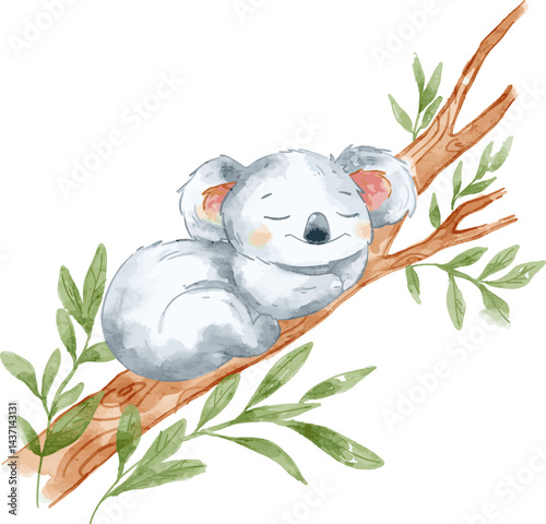 Cute koala sleeping on a tree branch. Watercolor koala lying on a tree, suited for baby room decoration, nursery, and baby shower project.