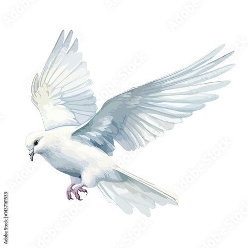 dove in flight cute watercolors illustration on white background