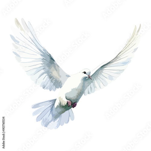 dove in flight cute watercolors illustration on white background