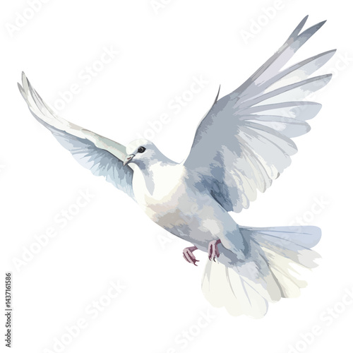 dove in flight cute watercolors illustration on white background