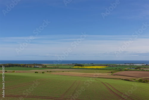 The view across the sloping Farmland at the Mains of Kelly over to the coast on the outskirts of Arbroath with scattered trees and Farm Buildings.