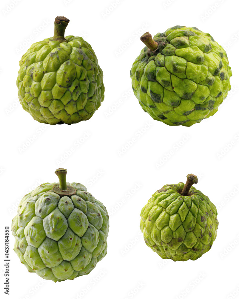 Fototapeta premium Green Sugar Apple - Whole Fruit Isolated