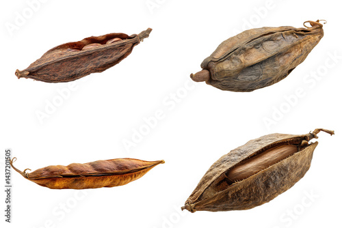 Wallpaper Mural Brown Locust Bean Pod - Side View, Isolated Torontodigital.ca