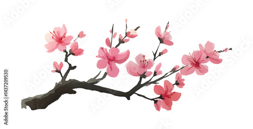 Watercolor illustration of pink cherry blossom flowers blooming on a branch against black backdrop