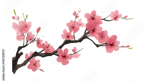 Watercolor Painting of Pink Cherry Blossoms on Branch with Black Background