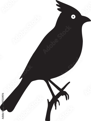 bird, sparrow, robin, eagle, hawk, pigeon, dove, flamingo, parrot, peacock, canary, stork, crow