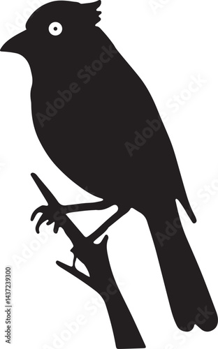 bird, sparrow, robin, eagle, hawk, pigeon, dove, flamingo, parrot, peacock, canary, stork, crow