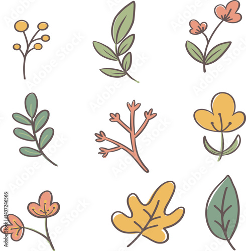 Plant Illustrations
