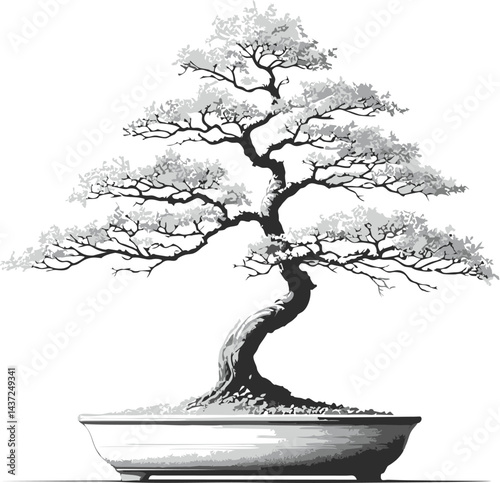 Elegant Monochrome Bonsai Tree Illustration