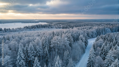 Aerial view of snow-covered treetops stretching across a vast winter wilderness, emphasizing the peaceful isolation of nature.