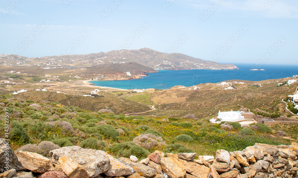 Paralia Ftelias Beach Mykonos Island South Aegean Region (Südliche Ägäis) Greece