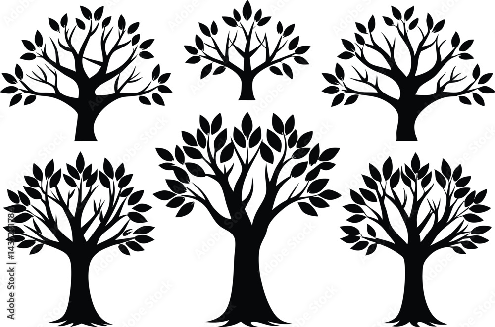 Obraz premium Beautiful Ash Tree Set Isolated Silhouette Vector Illustration Natural Forest Elements Collection Art