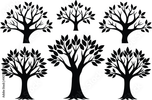 Beautiful Ash Tree Set Isolated Silhouette Vector Illustration Natural Forest Elements Collection Art