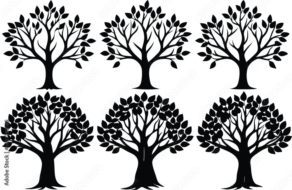 Fototapeta premium Beautiful Ash Tree Set Isolated Silhouette Vector Illustration Natural Forest Elements Collection Art