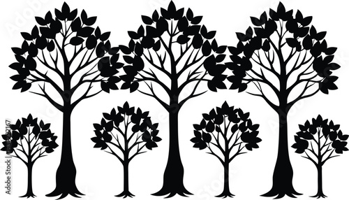 Beautiful Ash Tree Set Isolated Silhouette Vector Illustration Natural Forest Elements Collection Art