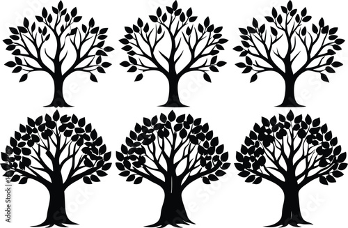 Beautiful Ash Tree Set Isolated Silhouette Vector Illustration Natural Forest Elements Collection Art