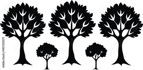Beautiful Ash Tree Set Isolated Silhouette Vector Illustration Natural Forest Elements Collection Art