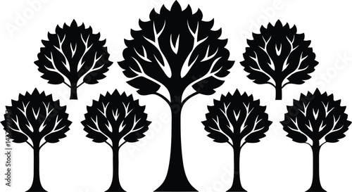 Beautiful Ash Tree Set Isolated Silhouette Vector Illustration Natural Forest Elements Collection Art