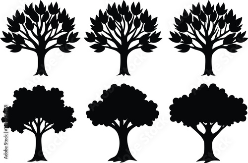 Beautiful Ash Tree Set Isolated Silhouette Vector Illustration Natural Forest Elements Collection Art