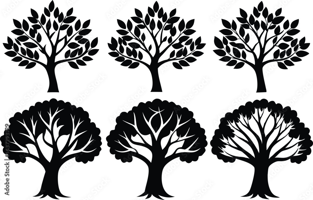 Fototapeta premium Beautiful Ash Tree Set Isolated Silhouette Vector Illustration Natural Forest Elements Collection Art