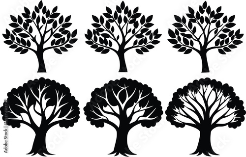 Beautiful Ash Tree Set Isolated Silhouette Vector Illustration Natural Forest Elements Collection Art